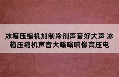 冰箱压缩机加制冷剂声音好大声 冰箱压缩机声音大嗡嗡响像高压电